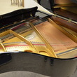 Ellington Baby Grand Piano - Grand Pianos